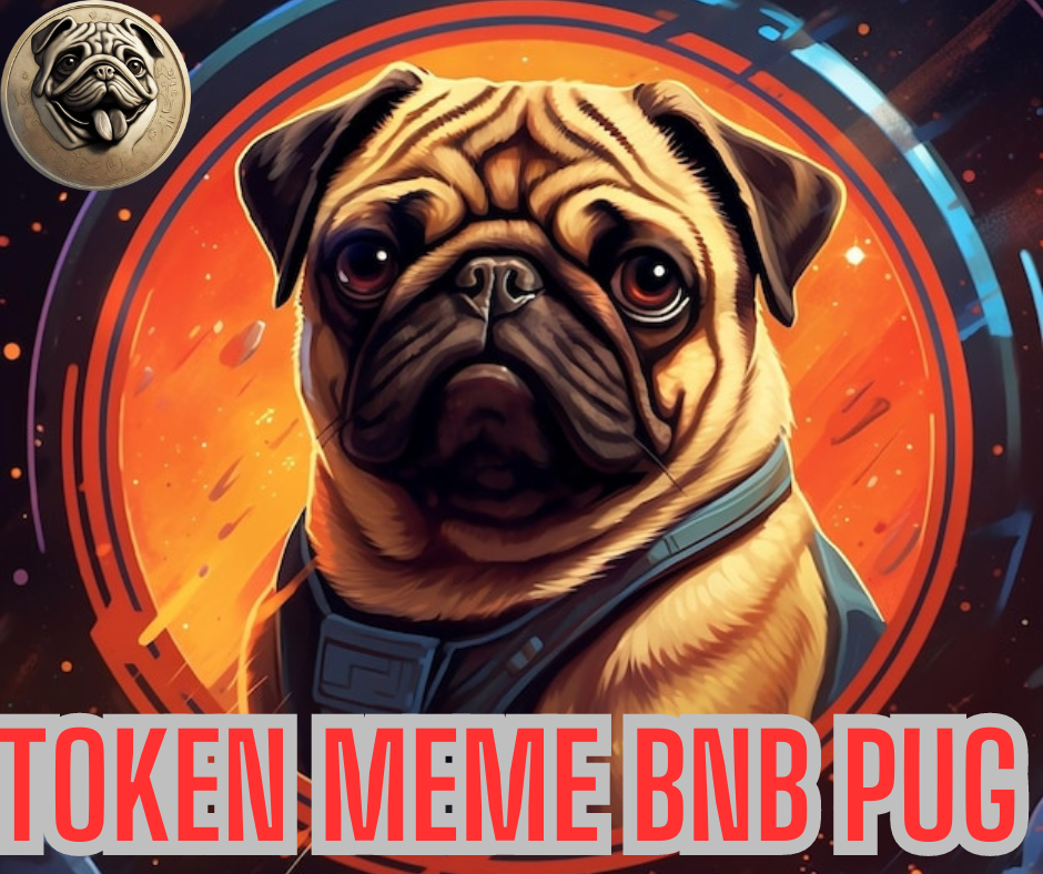 Token meme BnB pug